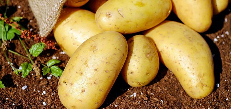 Come si riconosce un prodotto bio?