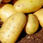 Come si riconosce un prodotto bio?