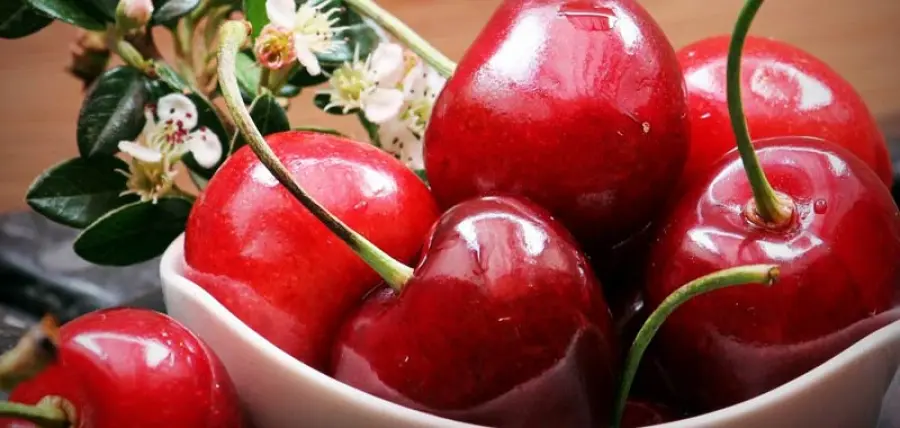 Amate le ciliegie? Ecco tutti i loro benefici