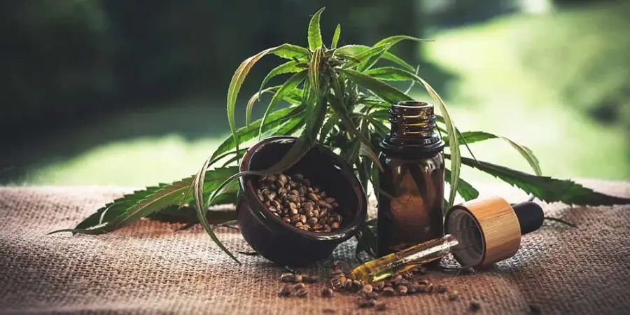 Olio di CBD: ritrovato naturale per la cura di moltissimi disturbi