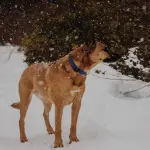 Ipotermia, attenzione al freddo eccessivo