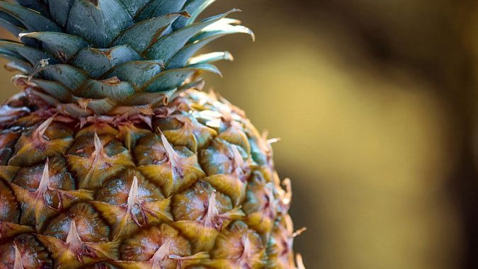 Ananas, ecco dove crescono questi frutti