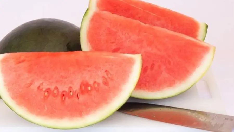 Estate e Dieta: Gli alimenti salutari da aggiungere