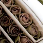 Rose stabilizzate, un regalo che va sempre più di moda