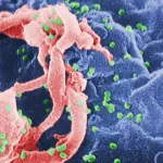 Aids, passi da gigante con un vaccino tutto italiano