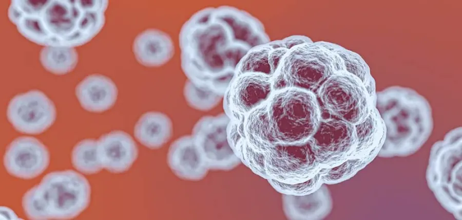 Coronavirus: immunità potrebbe durare anni