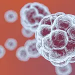 Coronavirus: immunità potrebbe durare anni