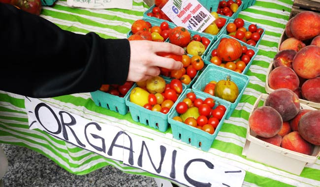 Alimenti biologici arriva la risposta: impossibile riducano il rischio cancro