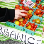 Alimenti biologici arriva la risposta: impossibile riducano il rischio cancro