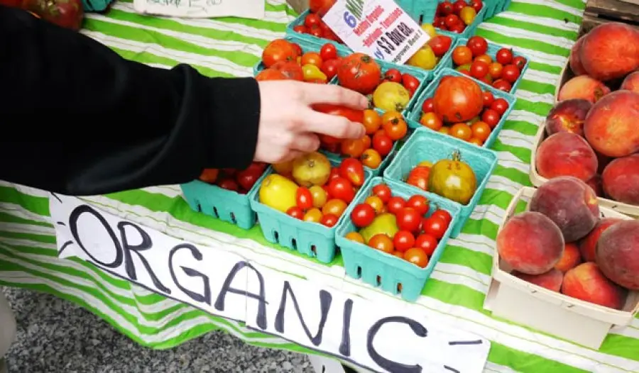 Alimenti biologici arriva la risposta: impossibile riducano il rischio cancro