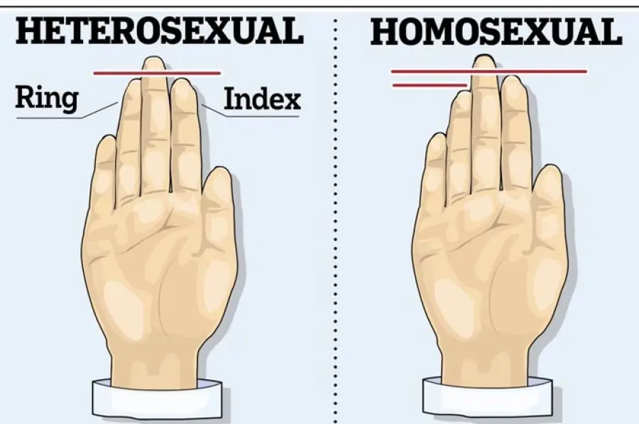 La conformazione delle dita rivela se sei gay, lo dice la scienza