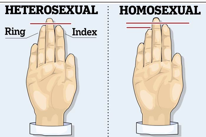 La conformazione delle dita rivela se sei gay, lo dice la scienza
