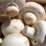 I funghi contengono antiossidanti ottimi contro invecchiamento e malattie