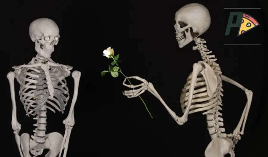 Osteoporosi, le tabelle di marcia e il divario terapeutico