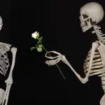 Osteoporosi, le tabelle di marcia e il divario terapeutico