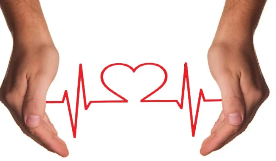 Cuore: dieci regole per star bene