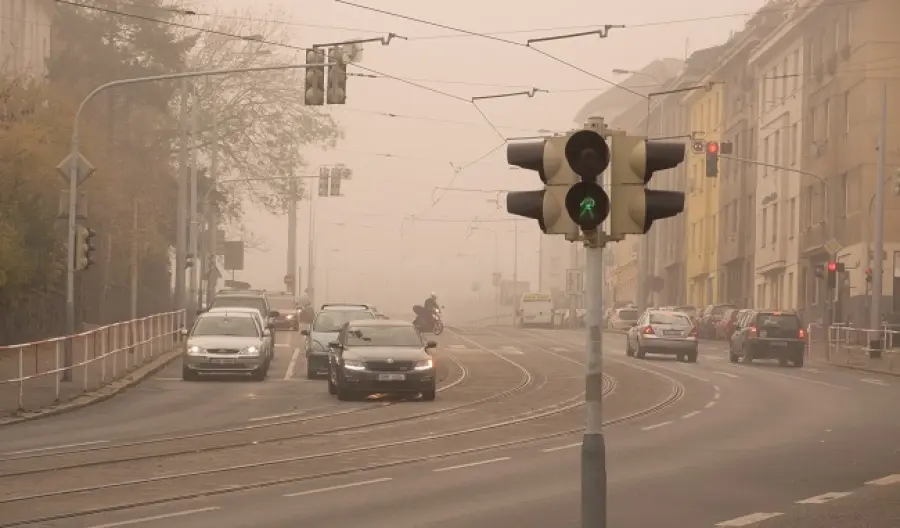Smog influisce anche sulle capacità intellettive