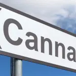 Cannabis light legale: ecco gli Stati dove è permessa