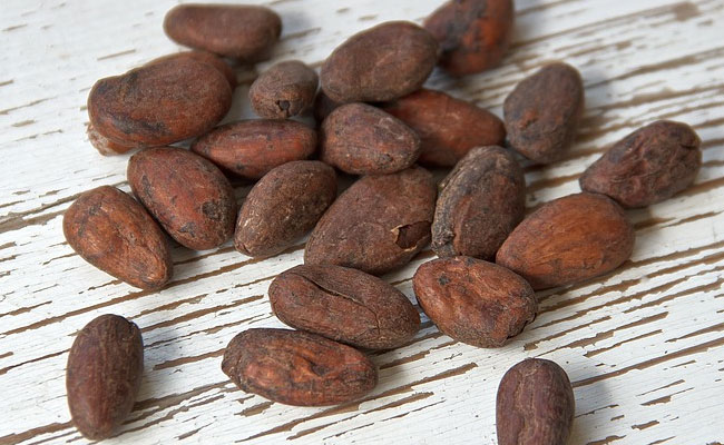 Cacao: migliorare la cognizione umana con i flavonoidi