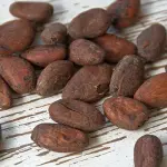 Cacao: migliorare la cognizione umana con i flavonoidi