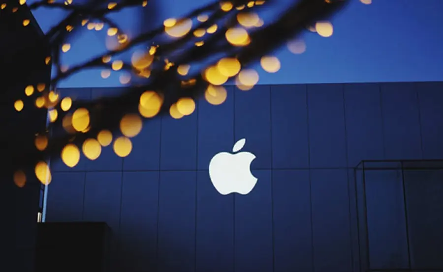 Aziende che sono diventate grandi con un minimo budget