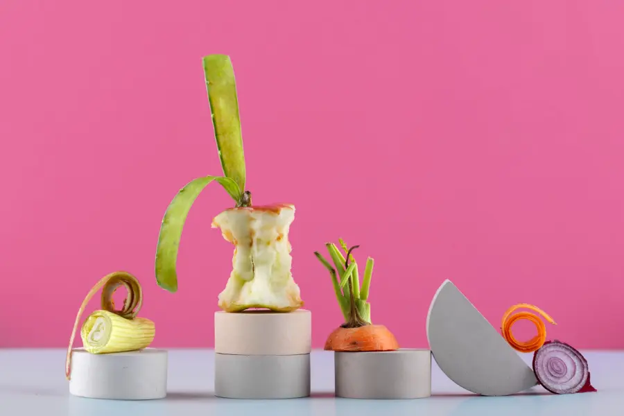 Diversi modi per riciclare i rifiuti organici