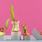 Diversi modi per riciclare i rifiuti organici