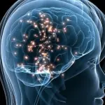 Alzheimer, una ricerca italiana scopre l’origine della malattia