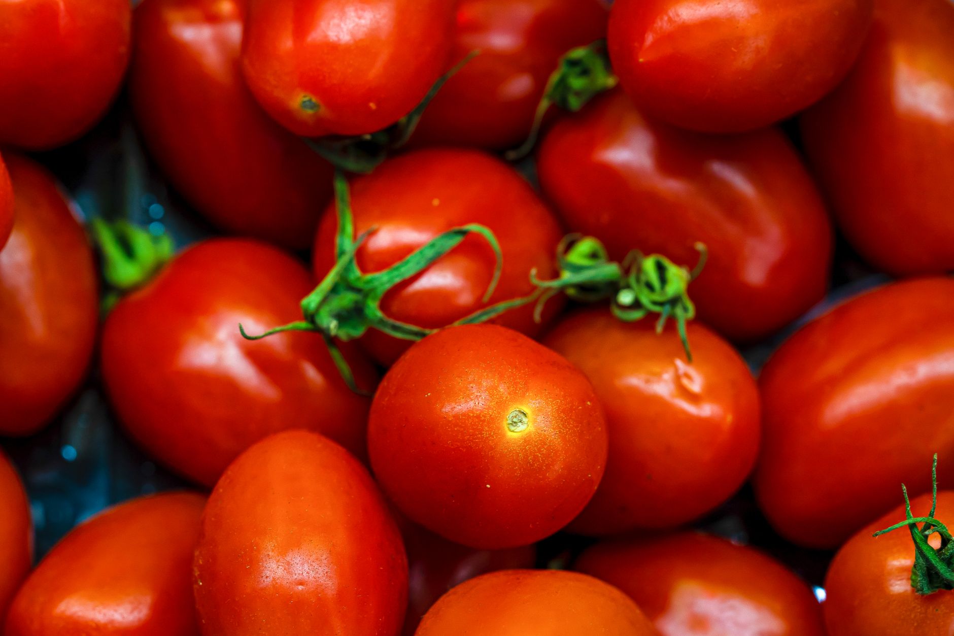 San Marzano: perché cambia il sapore della pizza
