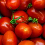 San Marzano: perché cambia il sapore della pizza