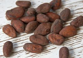 cacao-funzioni-cognitive