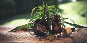 Olio di CBD ritrovato naturale per la cura di moltissimi disturbi